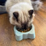 ظرف غذای سنگی گربه هفت سنگ مدل بونی (Bonnie) - Image 3